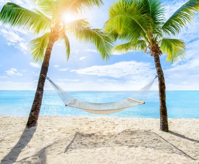 Hammock Setup Services - Assembly Services Zavalla, Texas