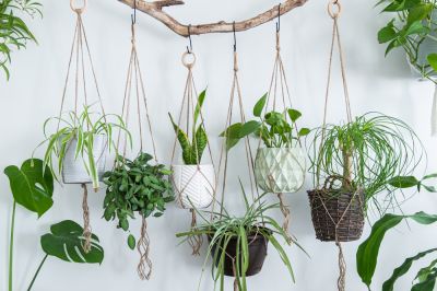 Hanging Planter Installation - Assembly Services Temecula, California